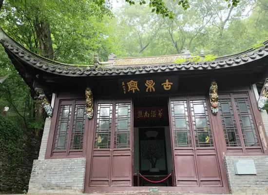 Ancient Plum Tree Pavilion