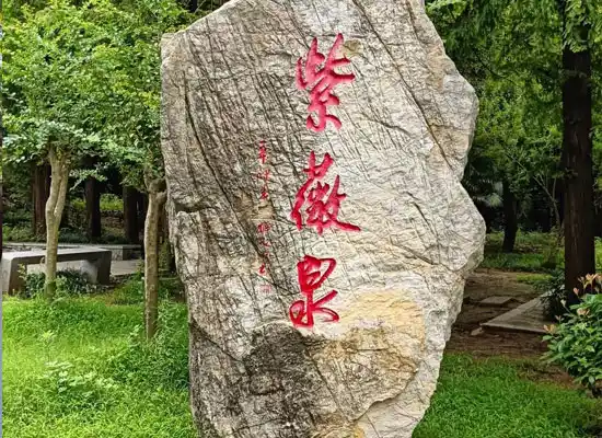 Ziwei Spring